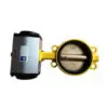 Powder-Butterfly-Valve