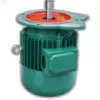 YEZ Conical Brake Motor