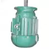 YEZ160L-4 Conical Brake Motor